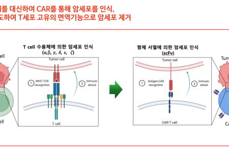 살얼음길 '자가면역' CD19 CAR-T 연구개발...큐로셀, BMS  등 연구개발 현황은?